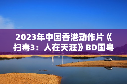 2023年中国香港动作片《扫毒3：人在天涯》BD国粤双语中字