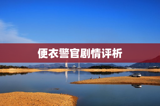 便衣警官剧情评析