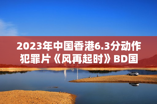 2023年中国香港6.3分动作犯罪片《风再起时》BD国粤双语中字