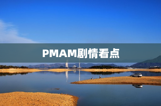 PMAM剧情看点