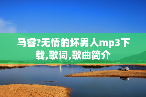 马睿?无情的坏男人mp3下载,歌词,歌曲简介