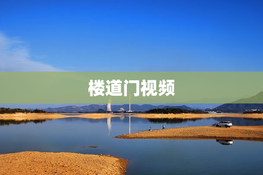 楼道门视频