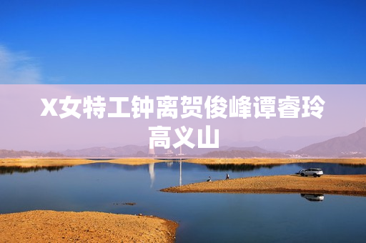 X女特工钟离贺俊峰谭睿玲高义山