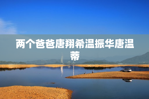 两个爸爸唐翔希温振华唐温蒂
