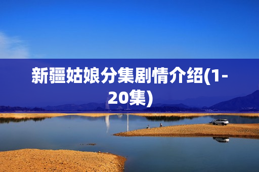 新疆姑娘分集剧情介绍(1-20集)