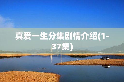 真爱一生分集剧情介绍(1-37集)