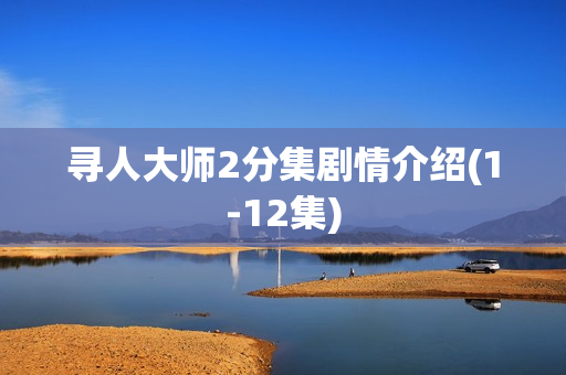 寻人大师2分集剧情介绍(1-12集)