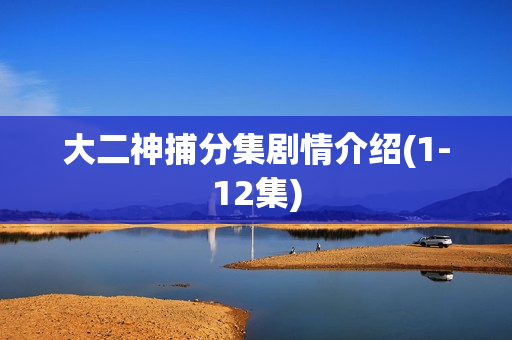 大二神捕分集剧情介绍(1-12集)