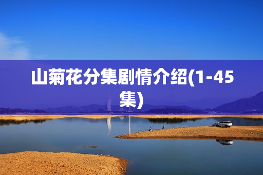 山菊花分集剧情介绍(1-45集)