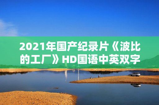 2021年国产纪录片《波比的工厂》HD国语中英双字