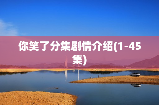 你笑了分集剧情介绍(1-45集)