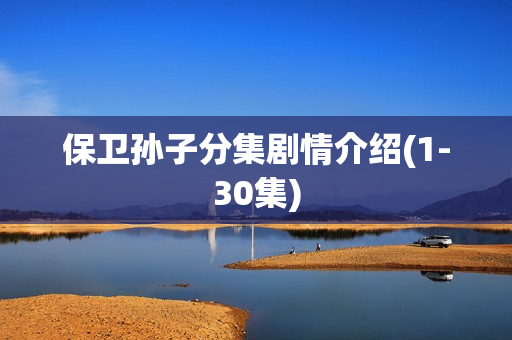 保卫孙子分集剧情介绍(1-30集)