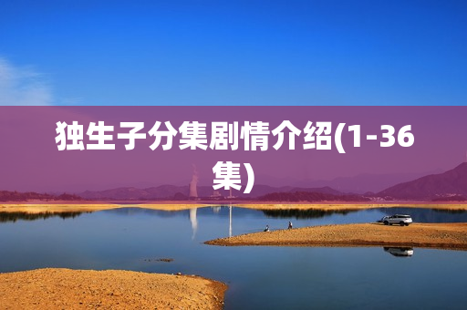 独生子分集剧情介绍(1-36集)