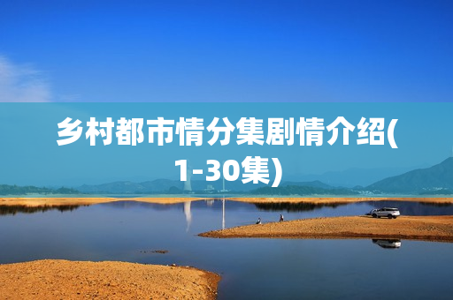 乡村都市情分集剧情介绍(1-30集)