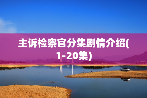 主诉检察官分集剧情介绍(1-20集)