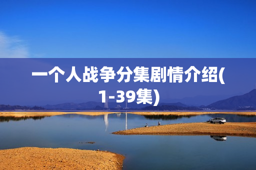 一个人战争分集剧情介绍(1-39集)