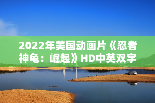 2022年美国动画片《忍者神龟：崛起》HD中英双字