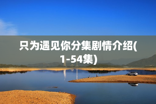 只为遇见你分集剧情介绍(1-54集)