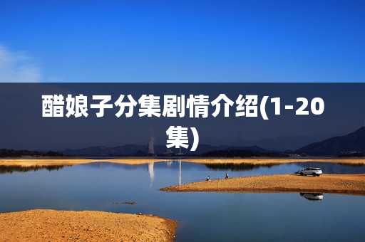 醋娘子分集剧情介绍(1-20集)