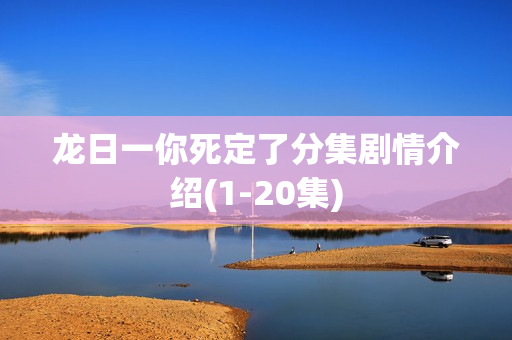 龙日一你死定了分集剧情介绍(1-20集)