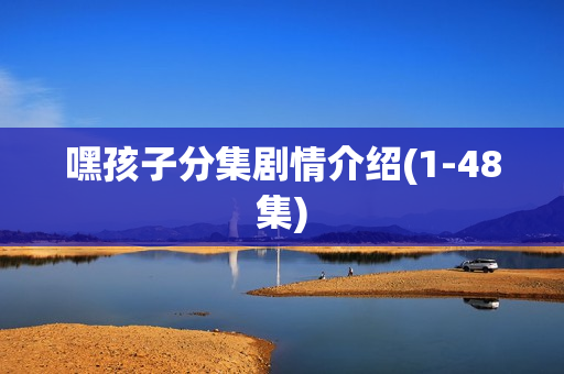 嘿孩子分集剧情介绍(1-48集)