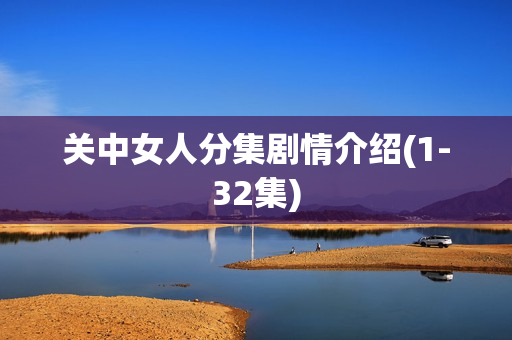 关中女人分集剧情介绍(1-32集)