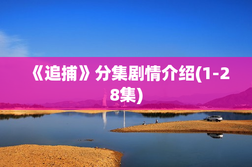 《追捕》分集剧情介绍(1-28集)