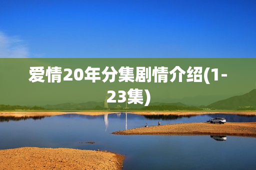 爱情20年分集剧情介绍(1-23集)