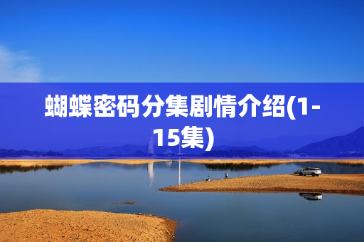 蝴蝶密码分集剧情介绍(1-15集)