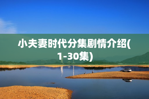 小夫妻时代分集剧情介绍(1-30集)