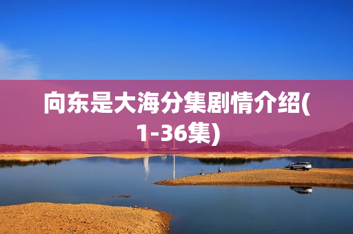向东是大海分集剧情介绍(1-36集)