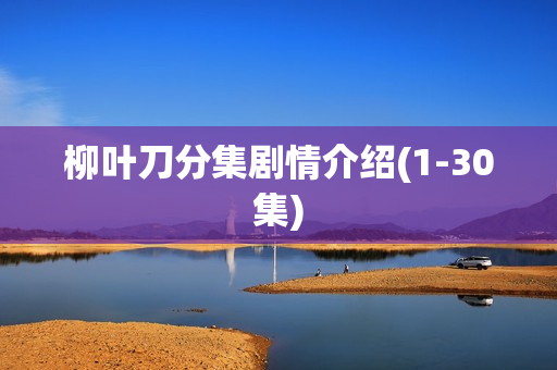 柳叶刀分集剧情介绍(1-30集)
