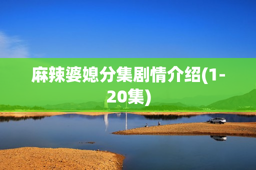 麻辣婆媳分集剧情介绍(1-20集)