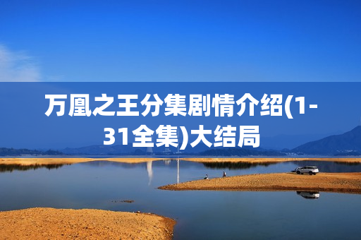 万凰之王分集剧情介绍(1-31全集)大结局