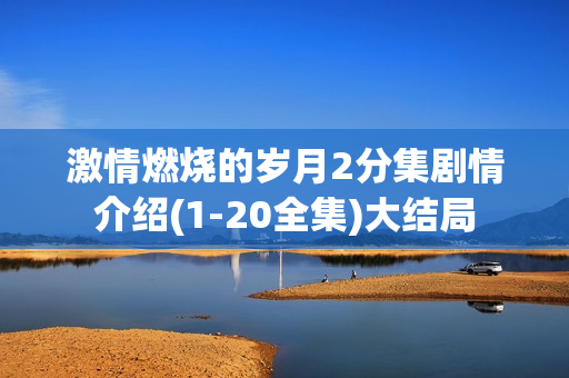 激情燃烧的岁月2分集剧情介绍(1-20全集)大结局