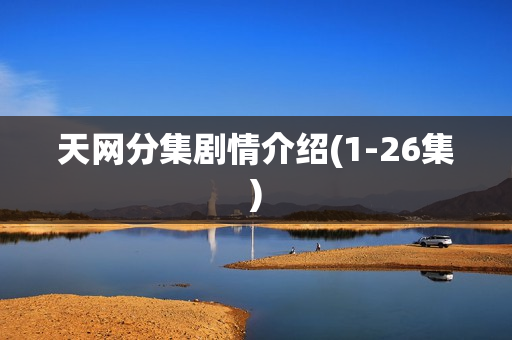 天网分集剧情介绍(1-26集)