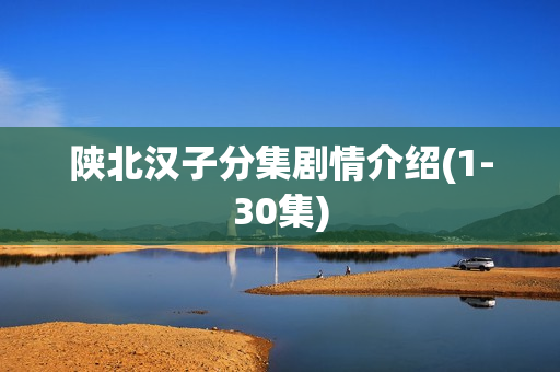 陕北汉子分集剧情介绍(1-30集)