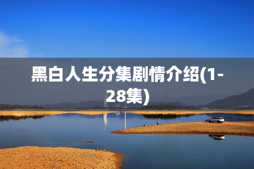 黑白人生分集剧情介绍(1-28集)