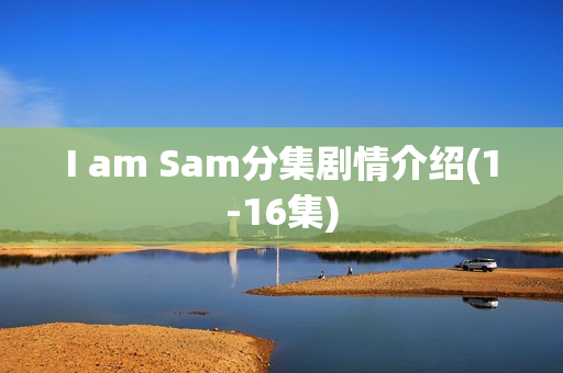 I am Sam分集剧情介绍(1-16集)