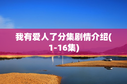 我有爱人了分集剧情介绍(1-16集)