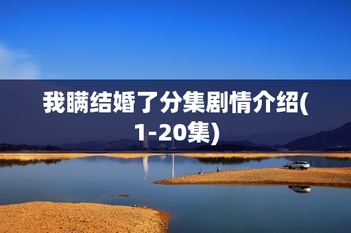 我瞒结婚了分集剧情介绍(1-20集)