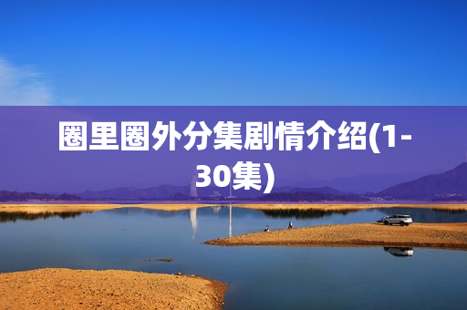 圈里圈外分集剧情介绍(1-30集)