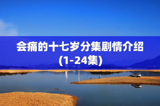 会痛的十七岁分集剧情介绍(1-24集)