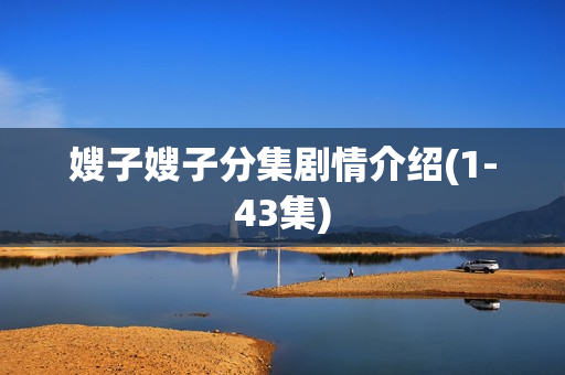 嫂子嫂子分集剧情介绍(1-43集)