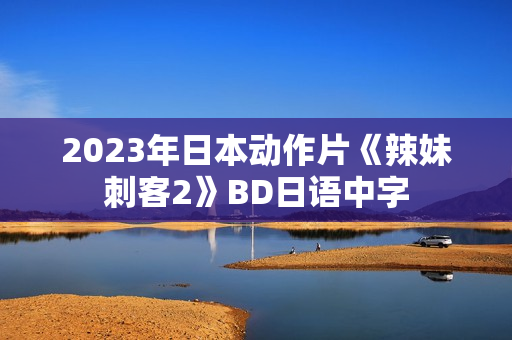 2023年日本动作片《辣妹刺客2》BD日语中字