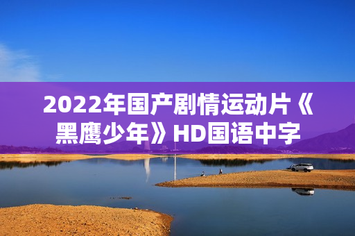 2022年国产剧情运动片《黑鹰少年》HD国语中字