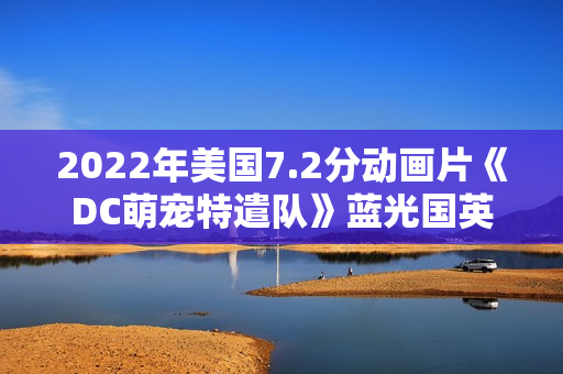 2022年美国7.2分动画片《DC萌宠特遣队》蓝光国英双语双字