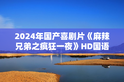 2024年国产喜剧片《麻辣兄弟之疯狂一夜》HD国语中字