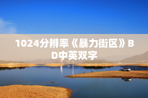 1024分辨率《暴力街区》BD中英双字