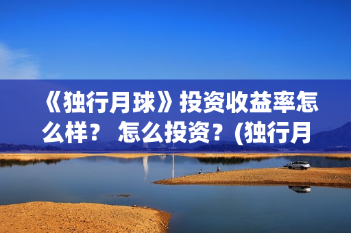《独行月球》投资收益率怎么样？ 怎么投资？(独行月球发行方)